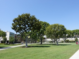 California State University, Long Beach  JtHjABwOr[`